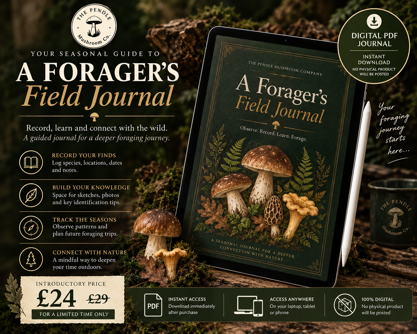 A Forager’s Field Journal