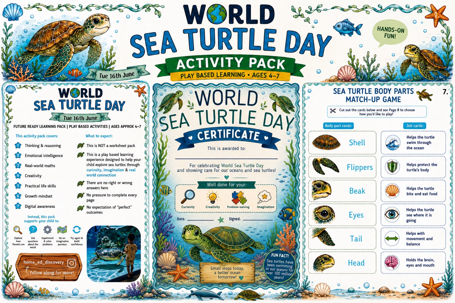 🐢 World Sea Turtle Day