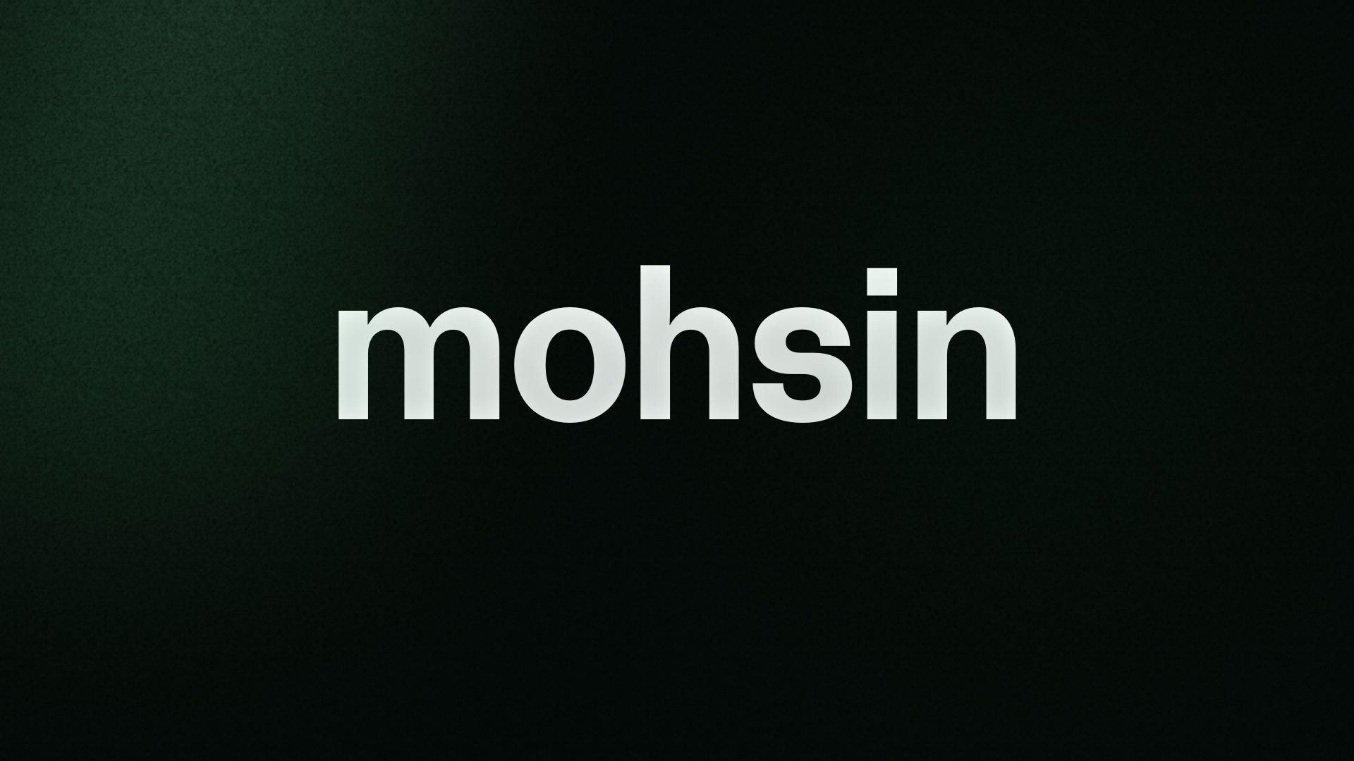 Mohsin Biz offer indian food