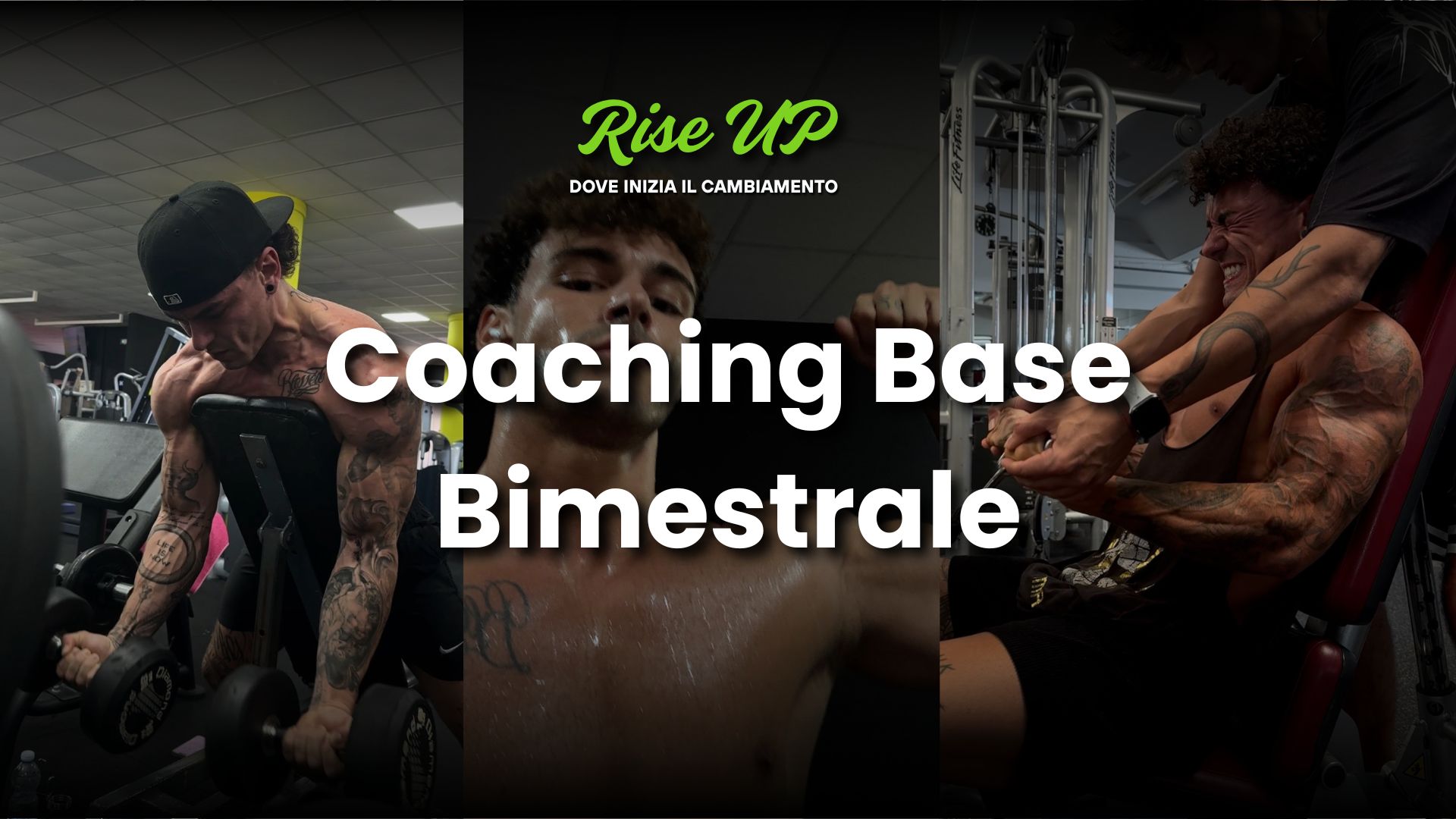 Coaching Base | Annuale