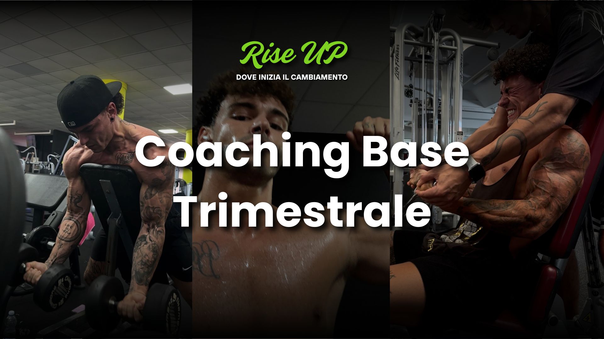 Coaching Base | Trimestrale