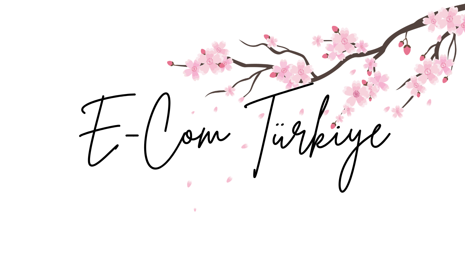 E-Com Türkiye