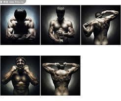 FitCoach Pro 12-Week Slim