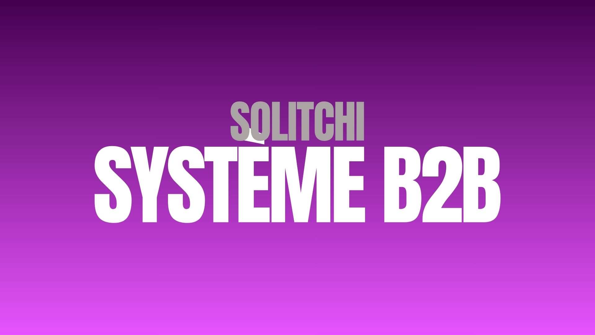 Solitchi Partner : Ton système d'acquisition en 90 jours