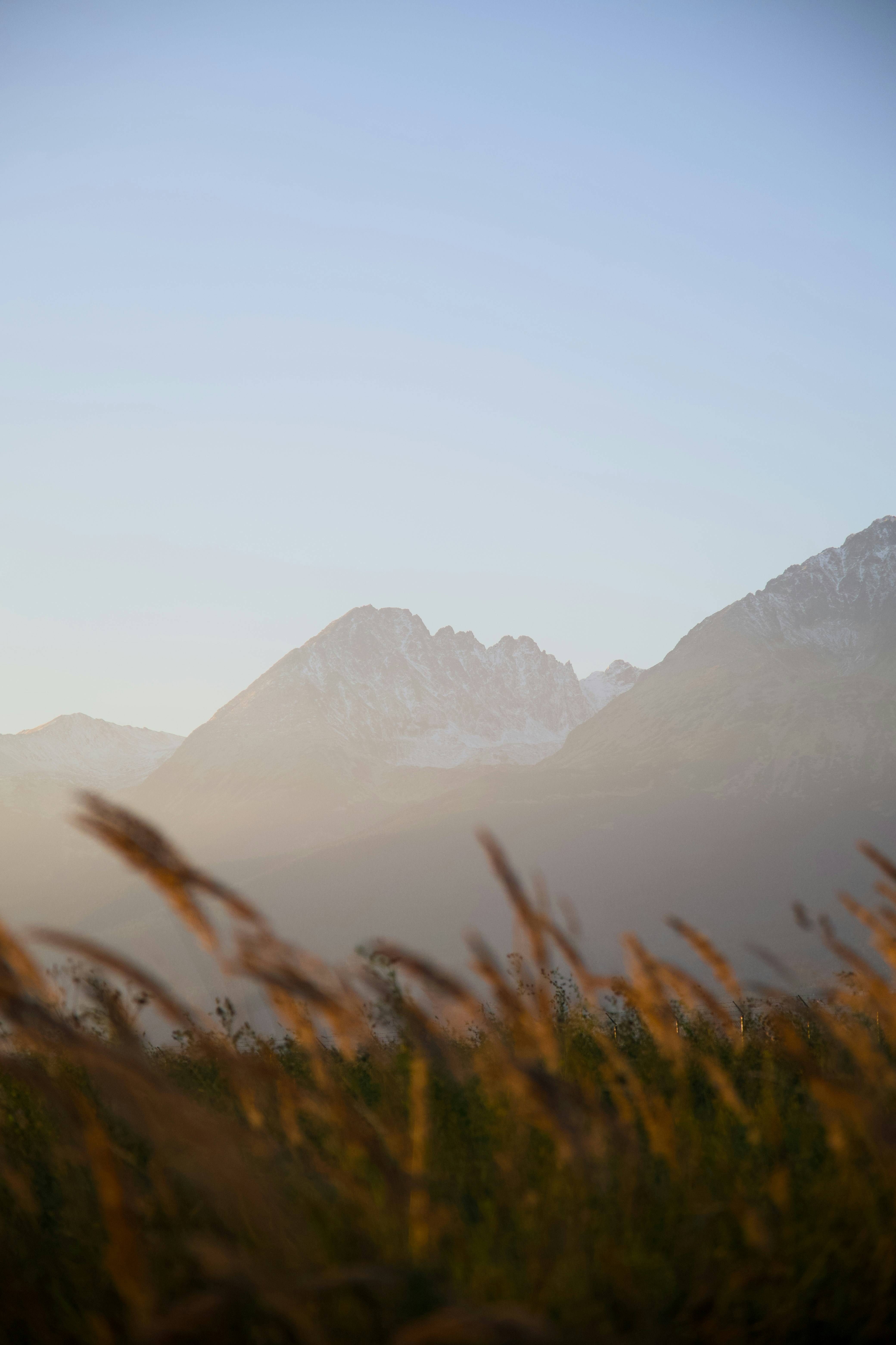 how to buy land $1000 or less