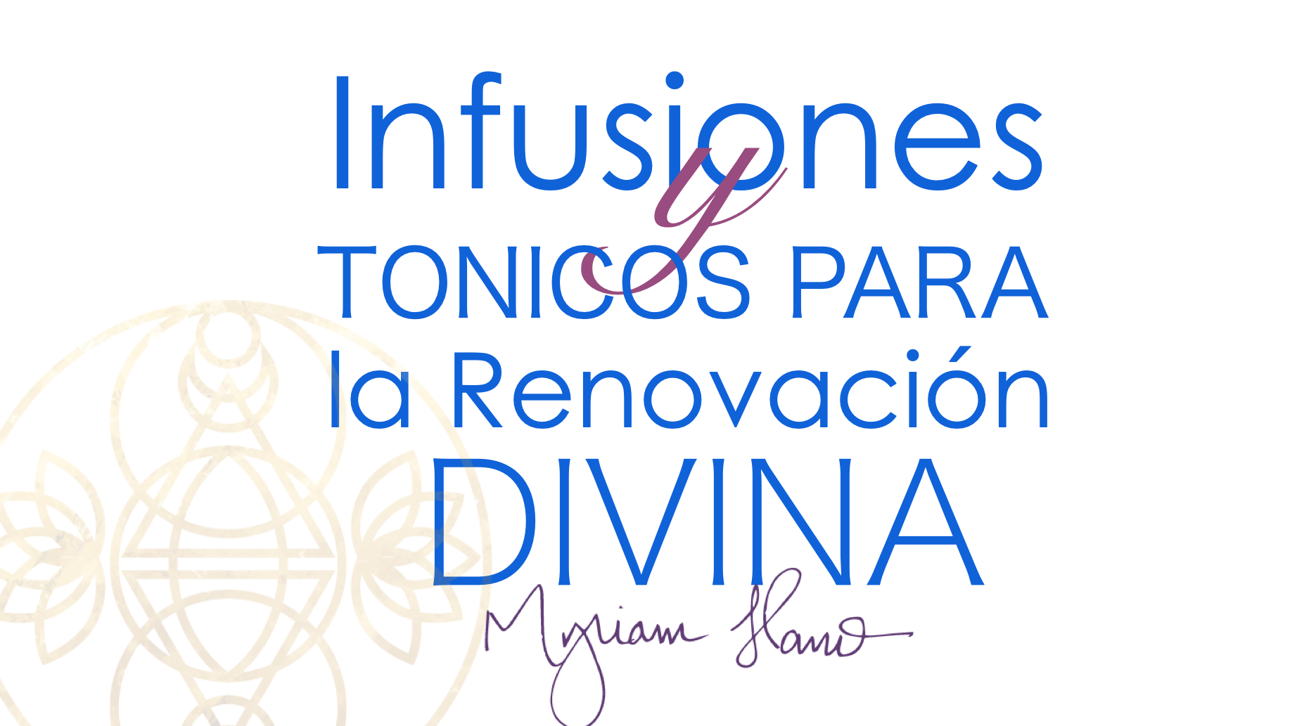 Infusiones para equilibrio hormonal