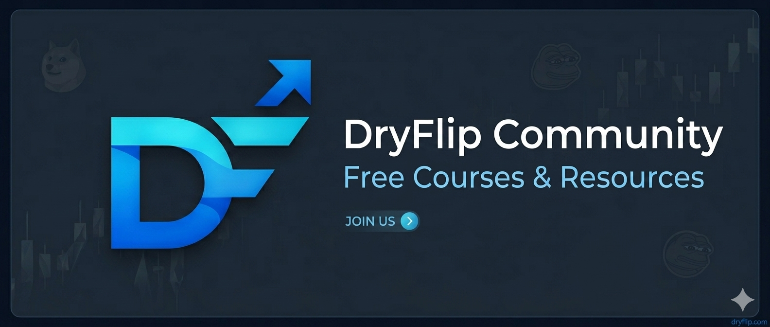 DryFlip - Learn How To Trade Meme Coins