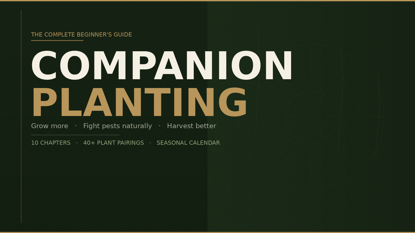Companion Planting: The Complete Beginner's Guide