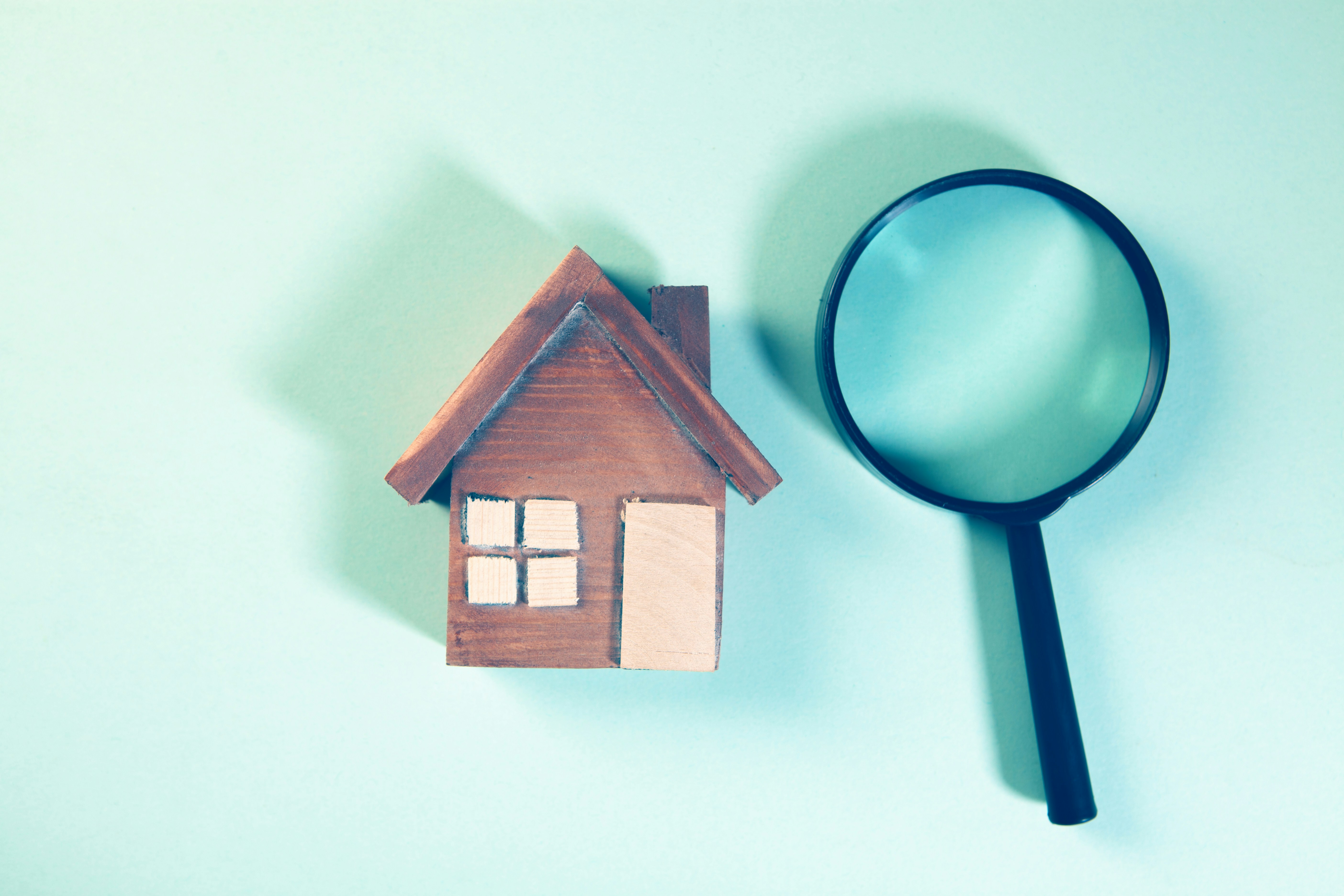 The Eco-Home Audit Checklist (Digital Download)