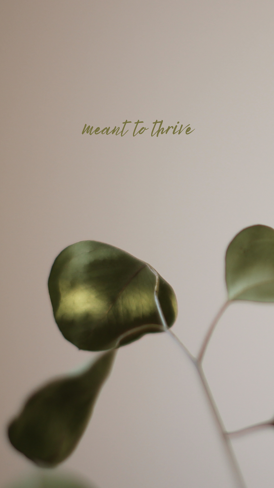 “Meant to Thrive” Green