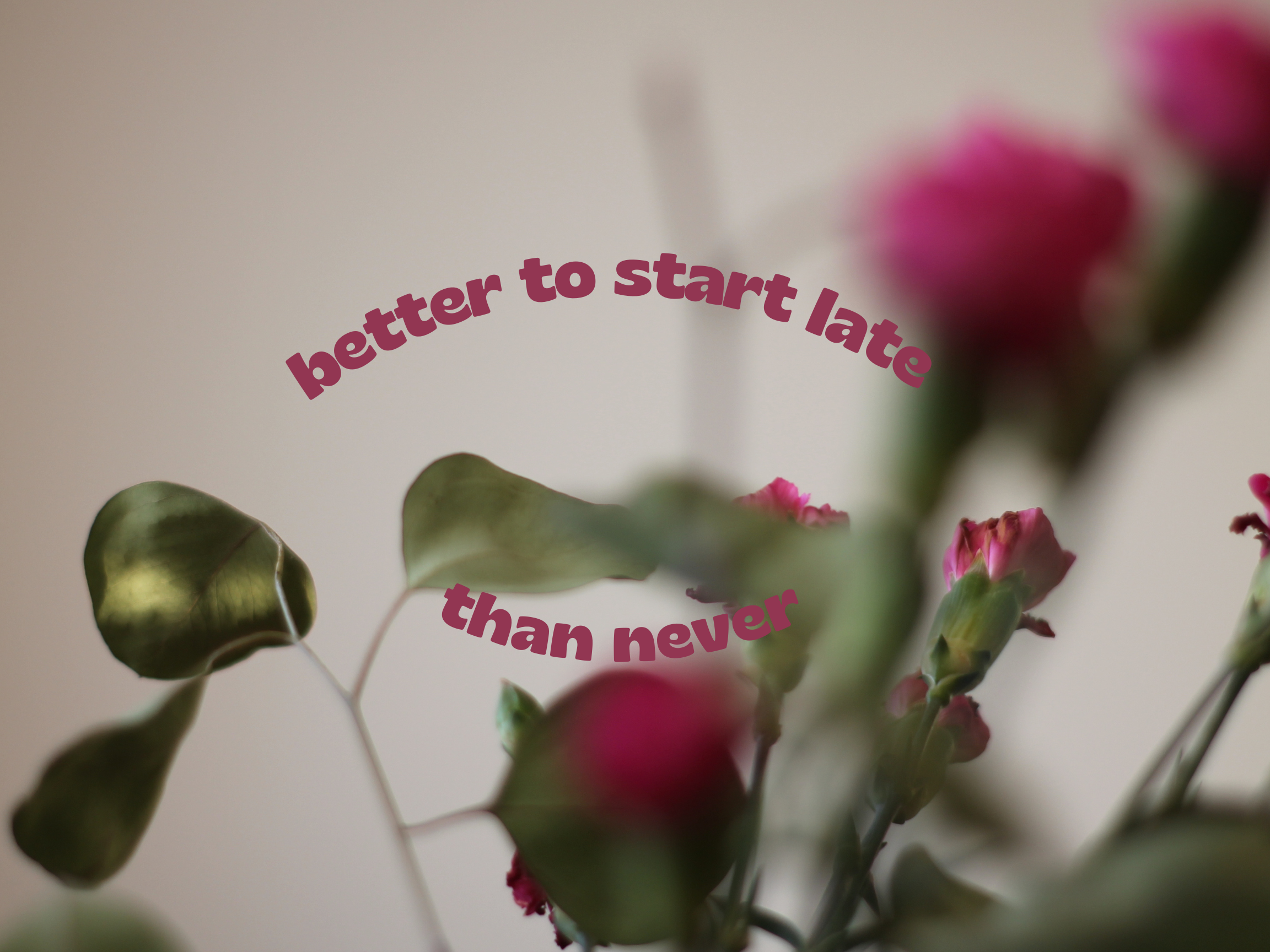 Plant "Better to Start Late Than Never"