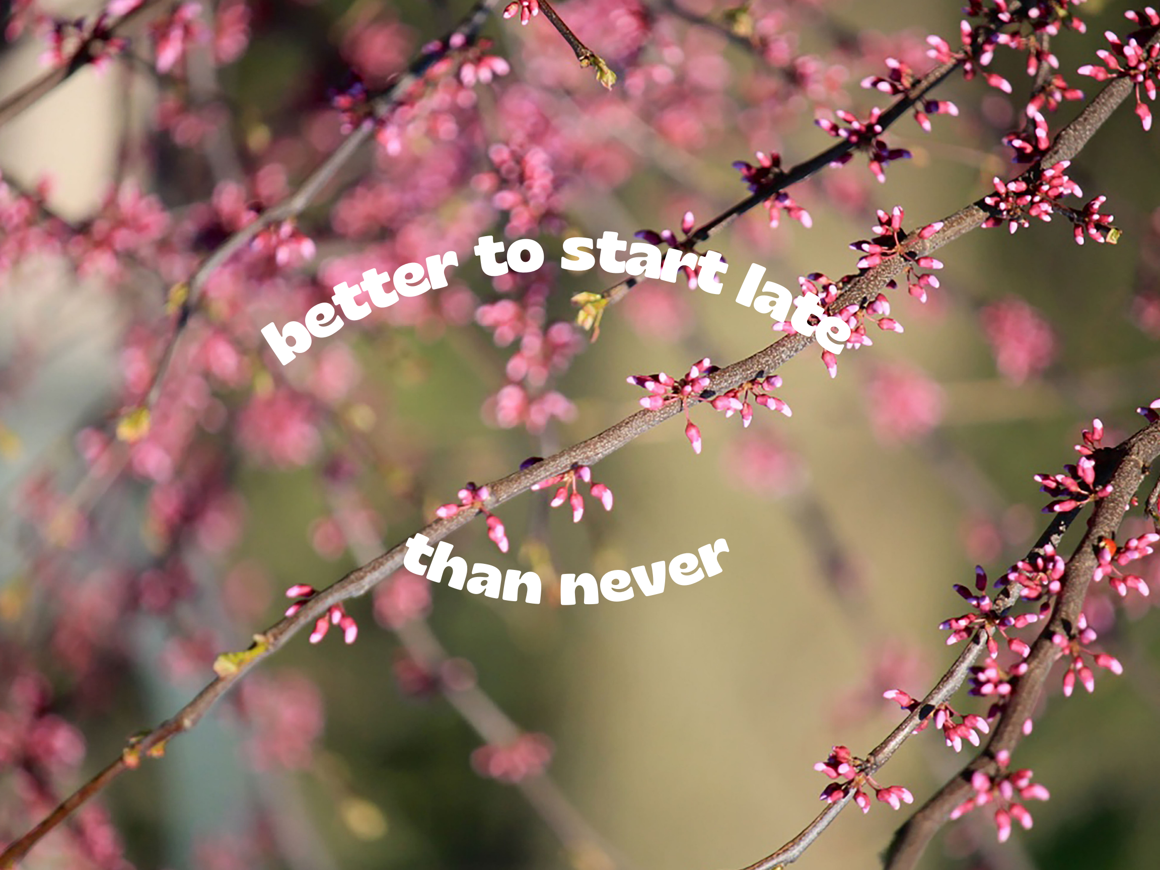 Spring "Better to Start Late Than Never"