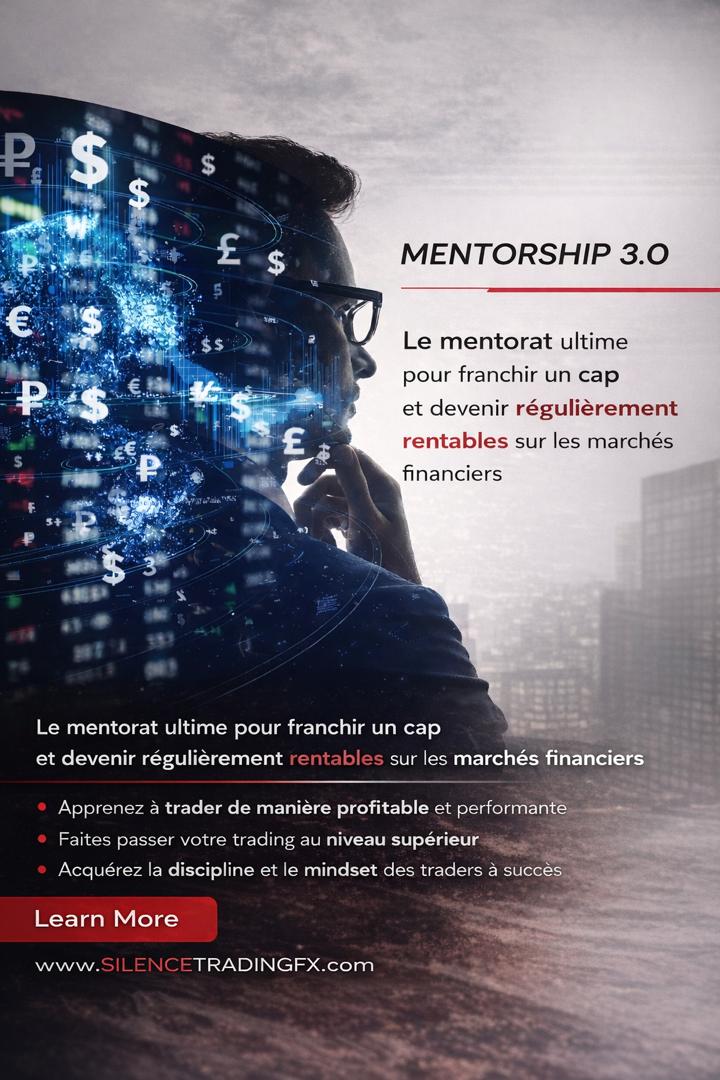 Mentorat 3.0 , 1 on 1 Mentorship