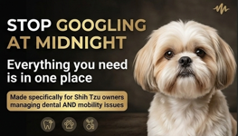Shih Tzu Dental Care 101 Guide