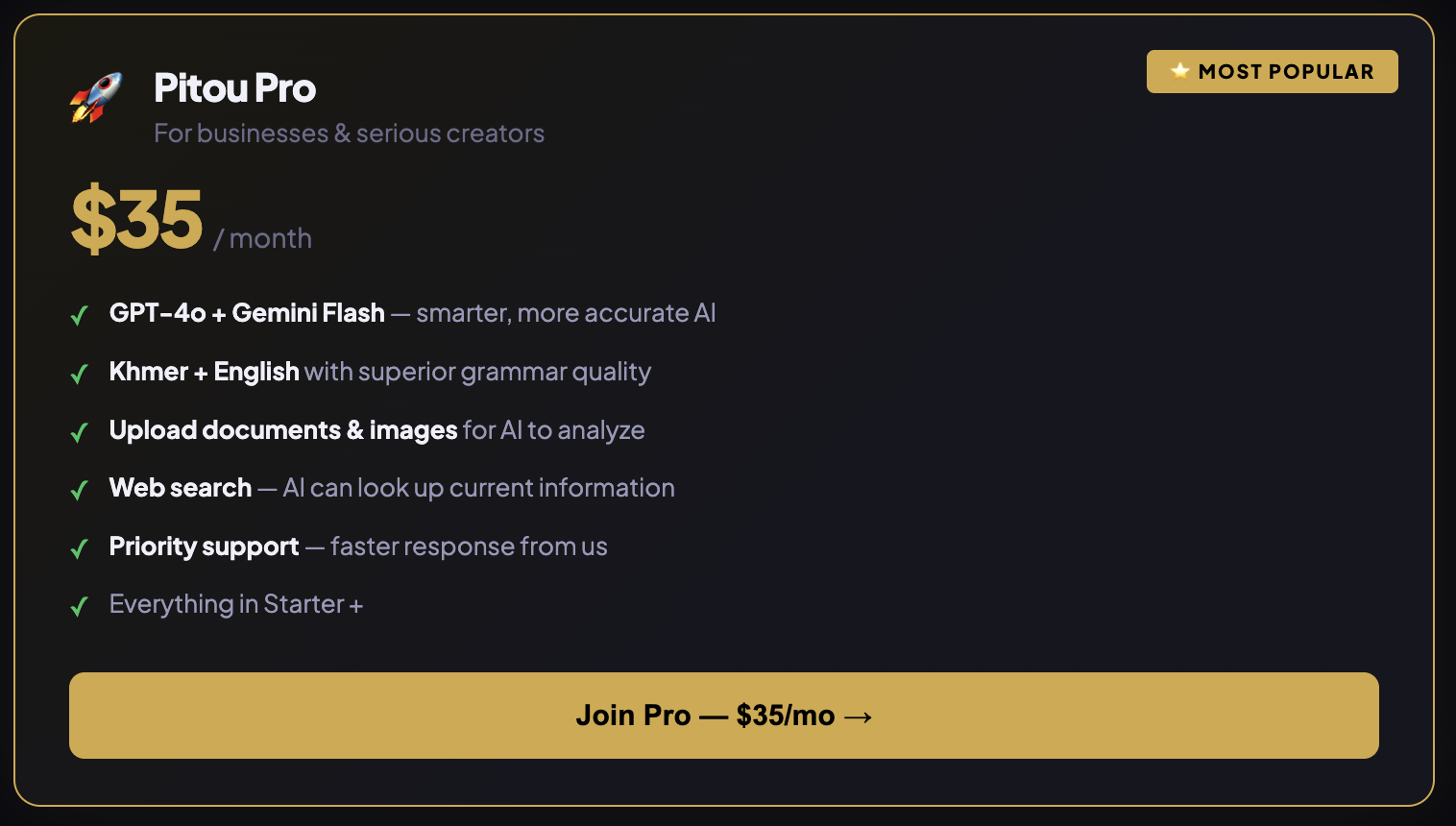 Pro — AI Professional Plan