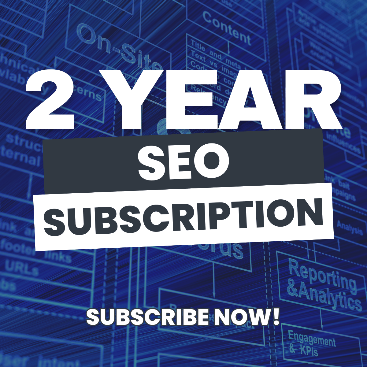2 Years Subscription SEO