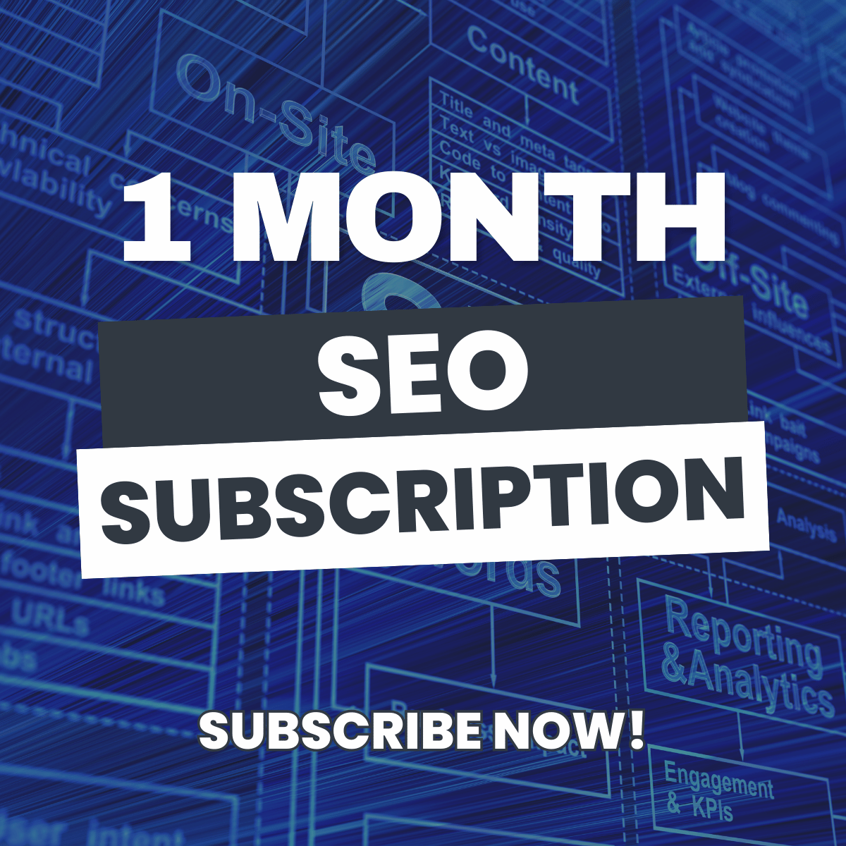 1 Month Subscription SEO