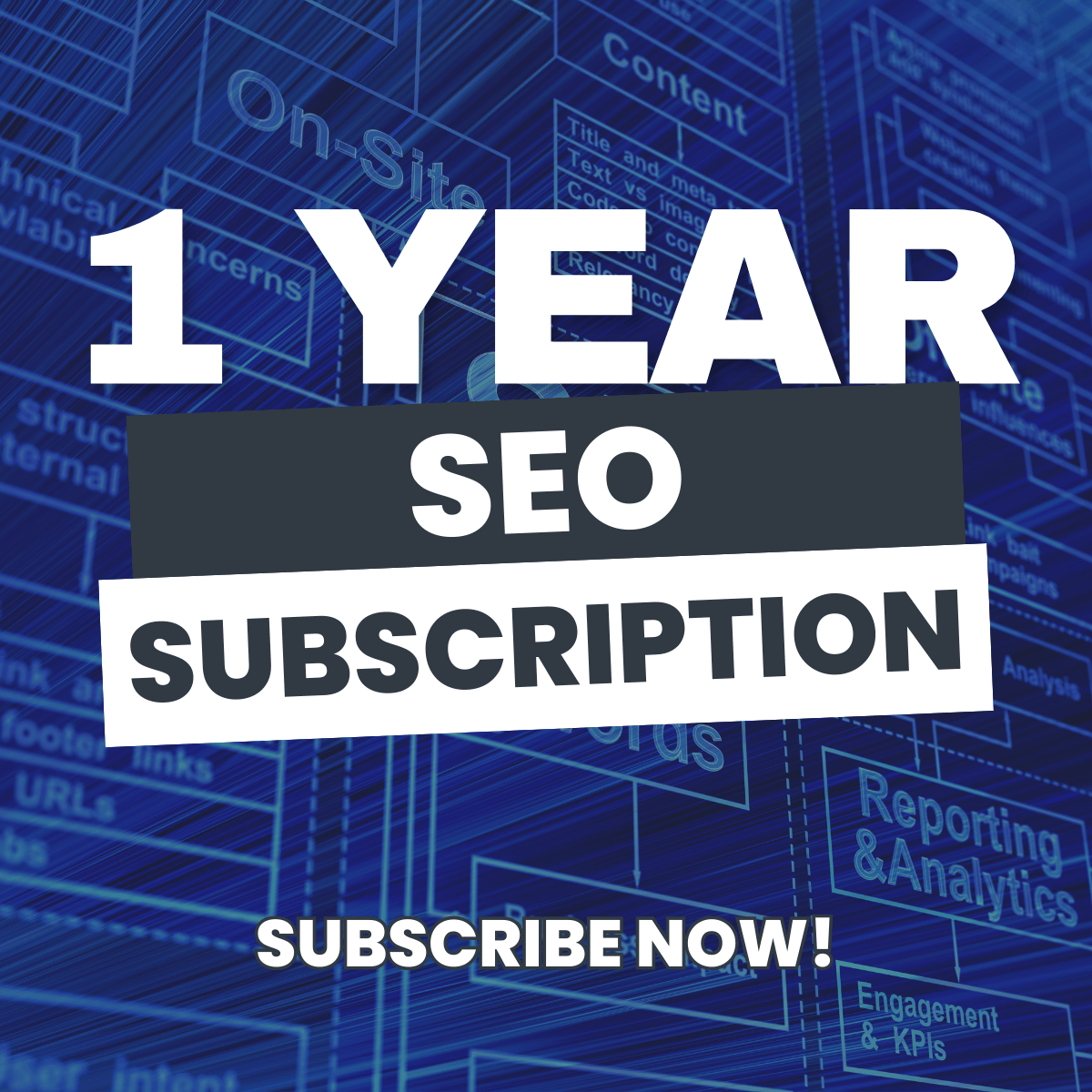 1 Year Subscription SEO
