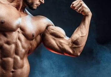Balance Blueprint