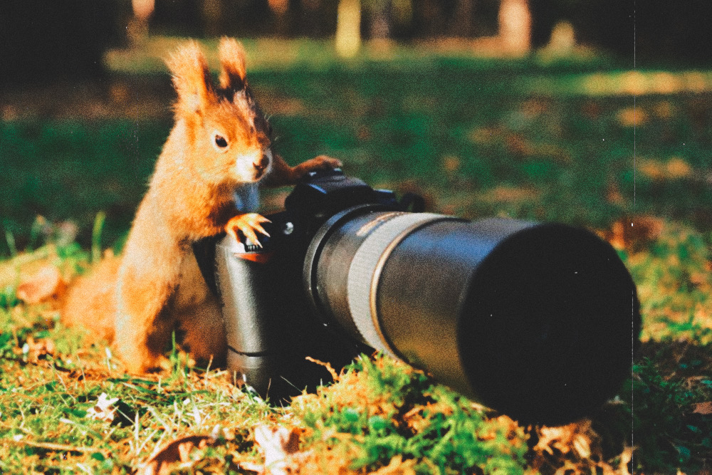 Portrait Photography Mastery