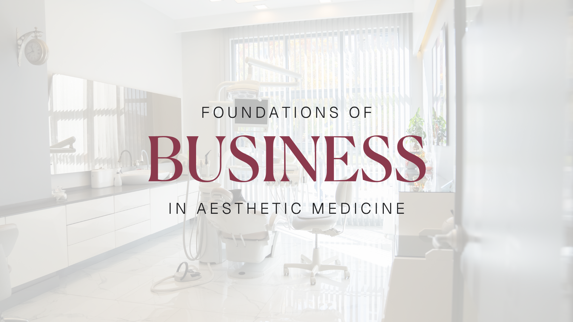 Foundations of Business in Aesthetic Medicine