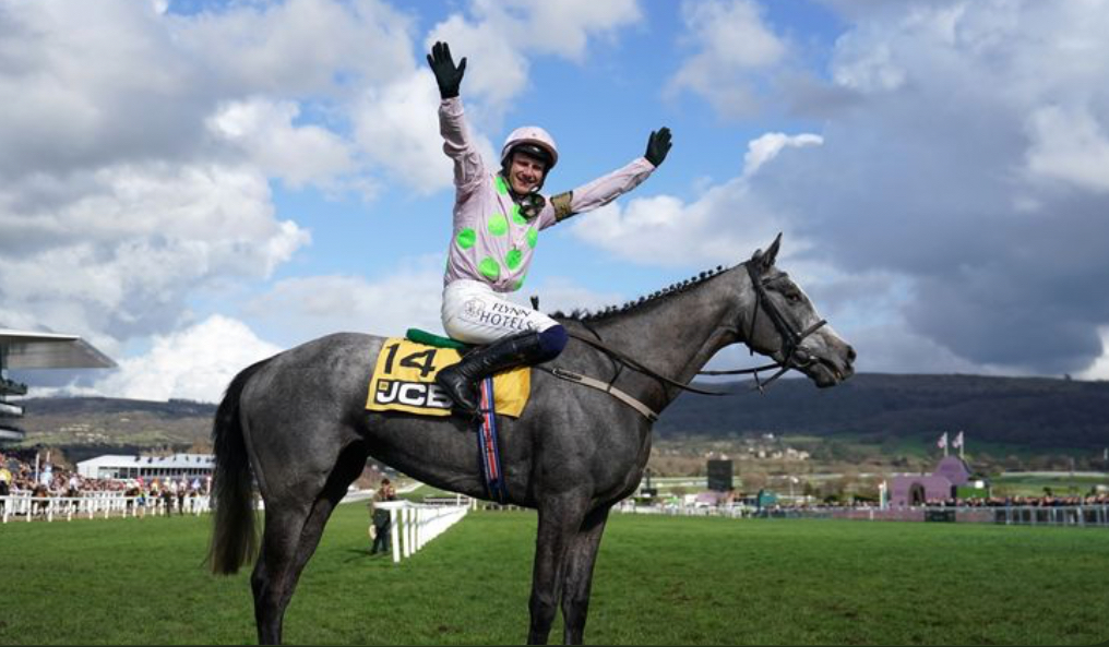 Top tipster 
