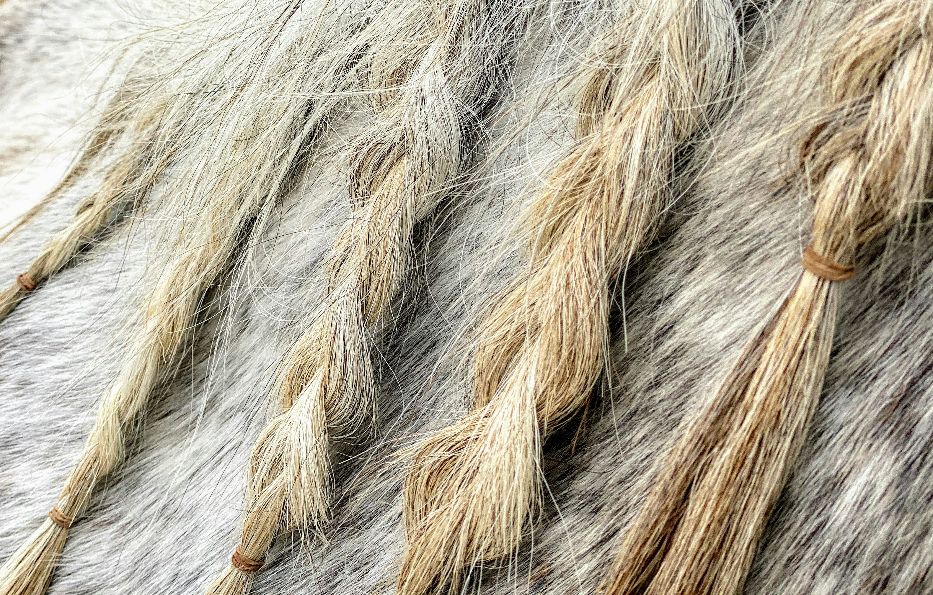 Protective Style Rescue Kit