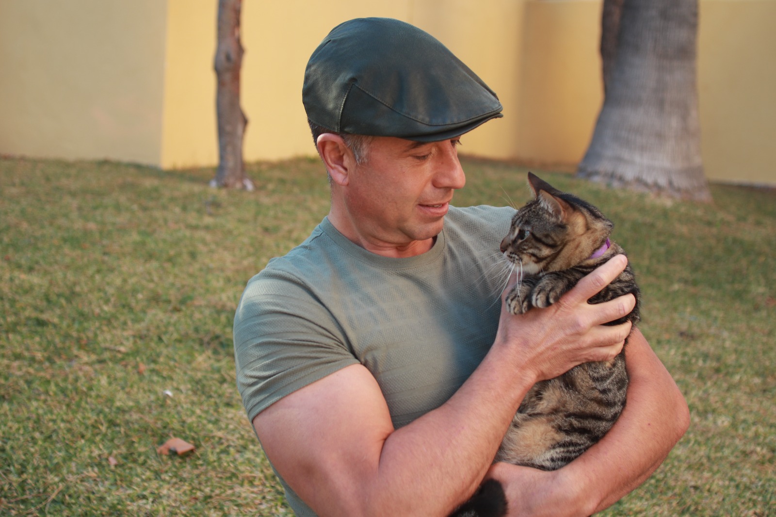 Conecta con tu gato y hazlo feliz