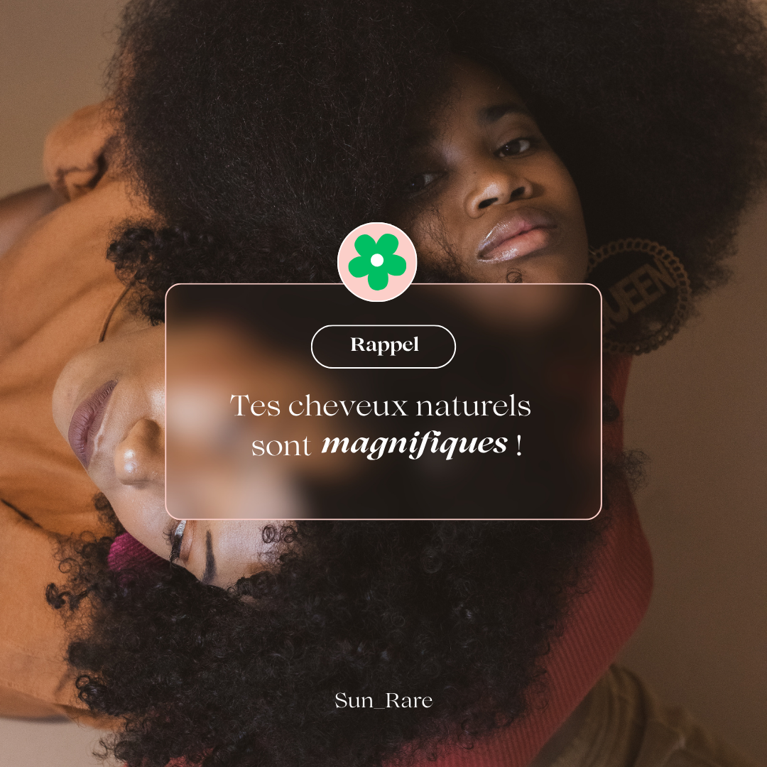 Mon Journal de Suivi Capillaire Afro