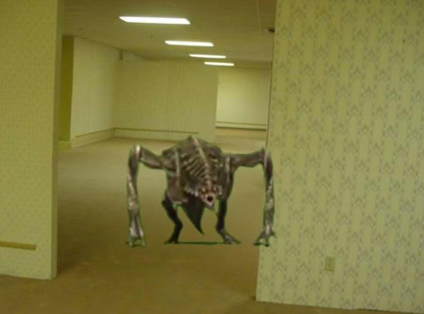 𝙲𝚛𝚢𝚙𝚝𝚒𝚍 𝙲𝚘𝚕𝚕𝚎𝚌𝚝𝚘𝚛𝚜