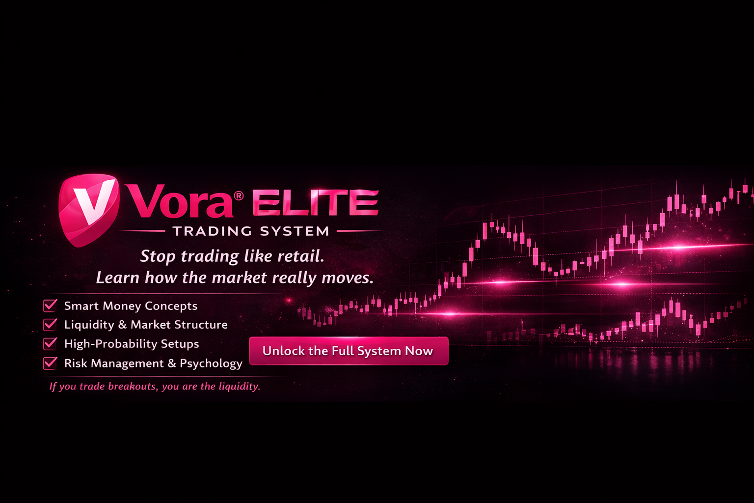 VORA Elite Book