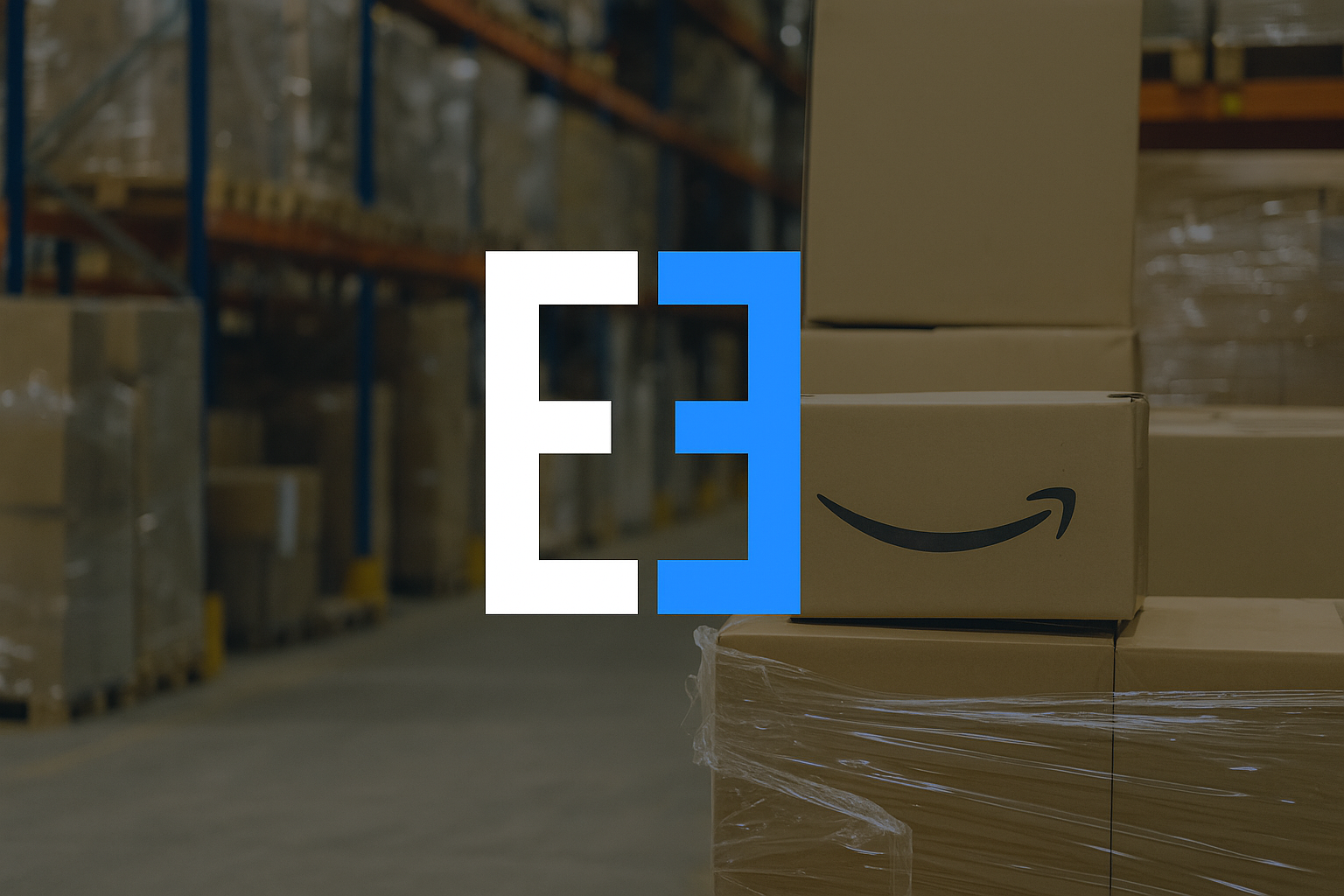 Ecom Express banner