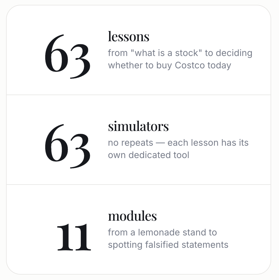 Sholi Learn: Fundamental Stock Analysis