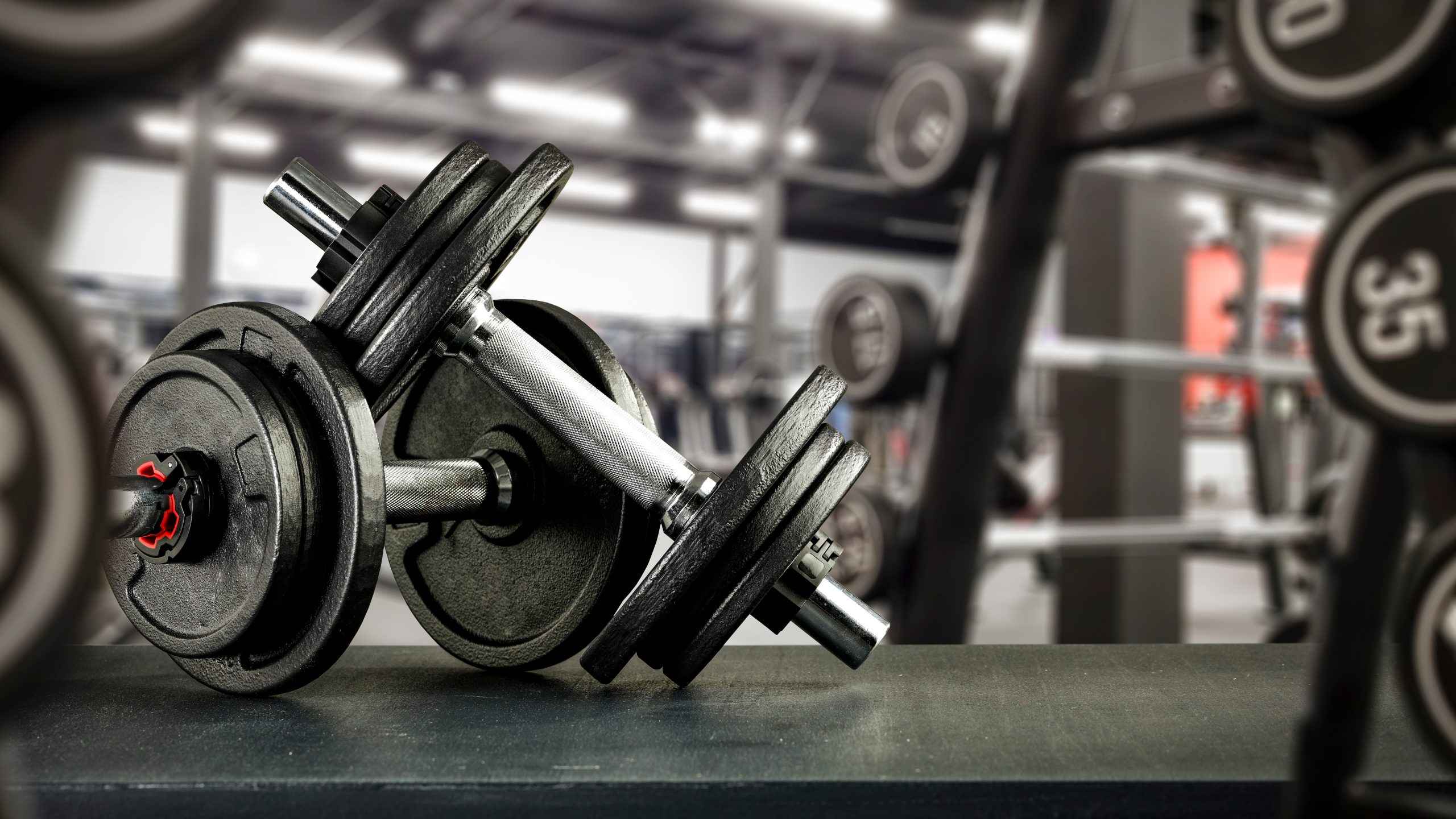 90-Day Body Transform Program