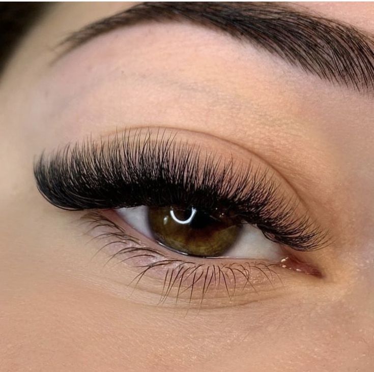 🖤LUMÉRA Iconic Volume