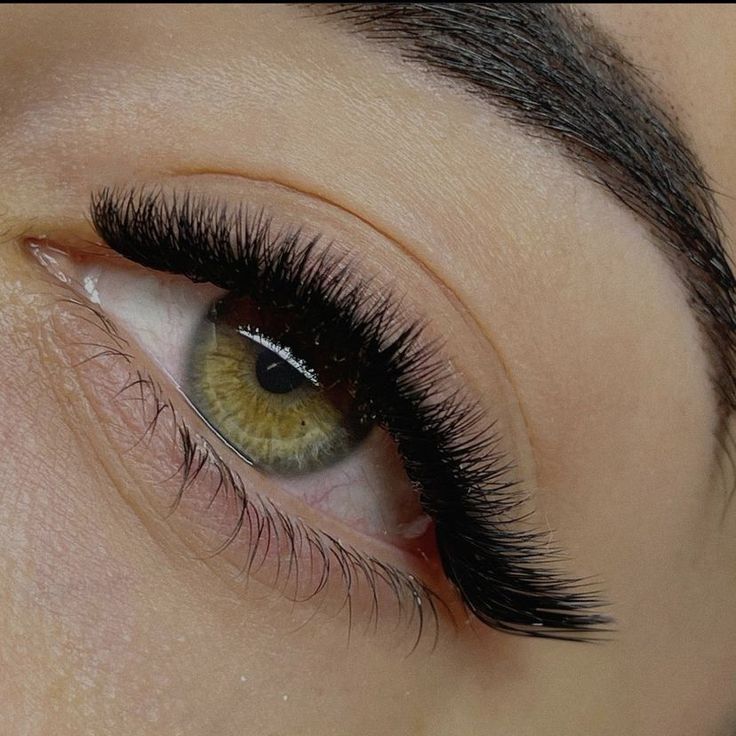 🖤LUMÉRA Fox Eye