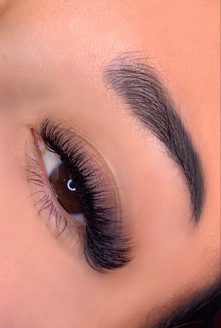 🖤LUMÉRA Eclipse