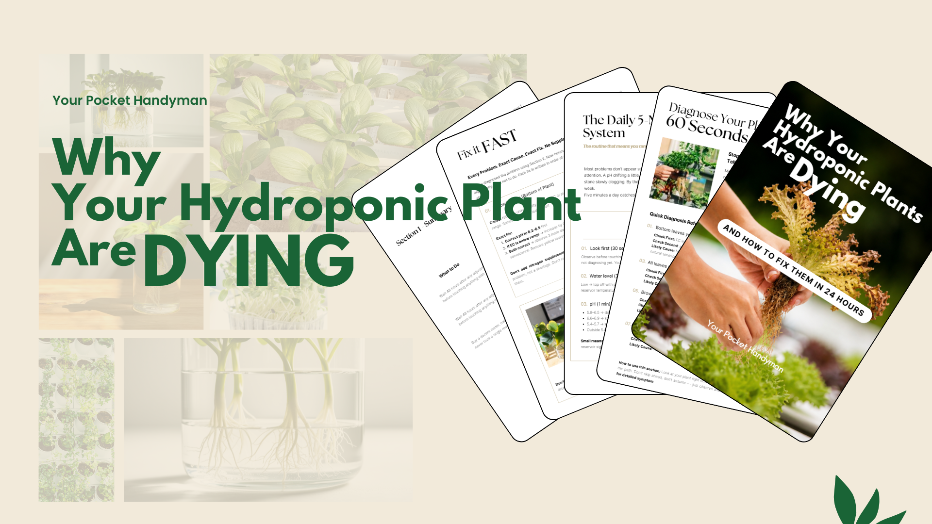Why Your Hydroponic Plants Are Dying (And How to Fix Them in 24 Hours)
