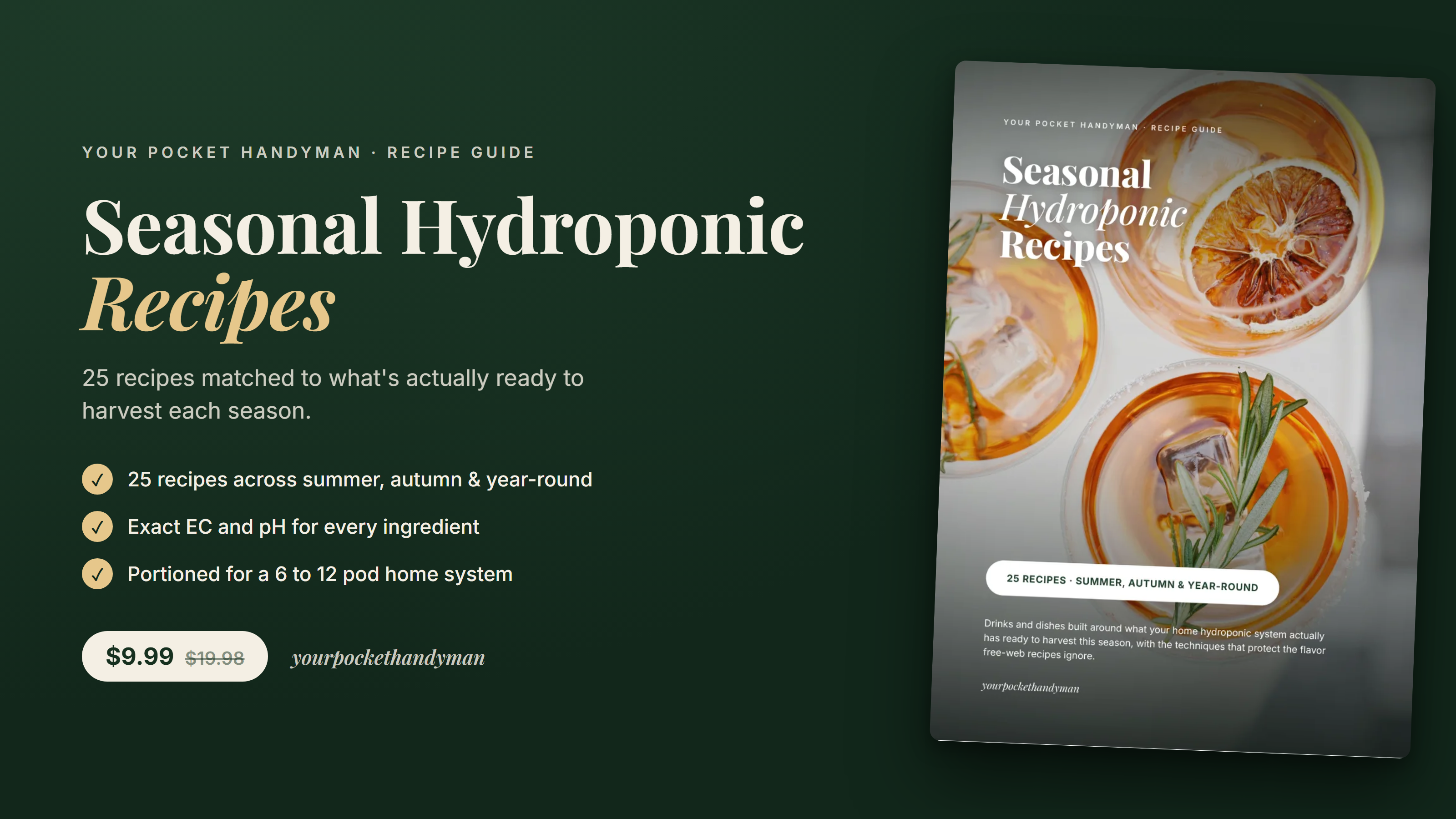 Seasonal Hydroponic Recipes