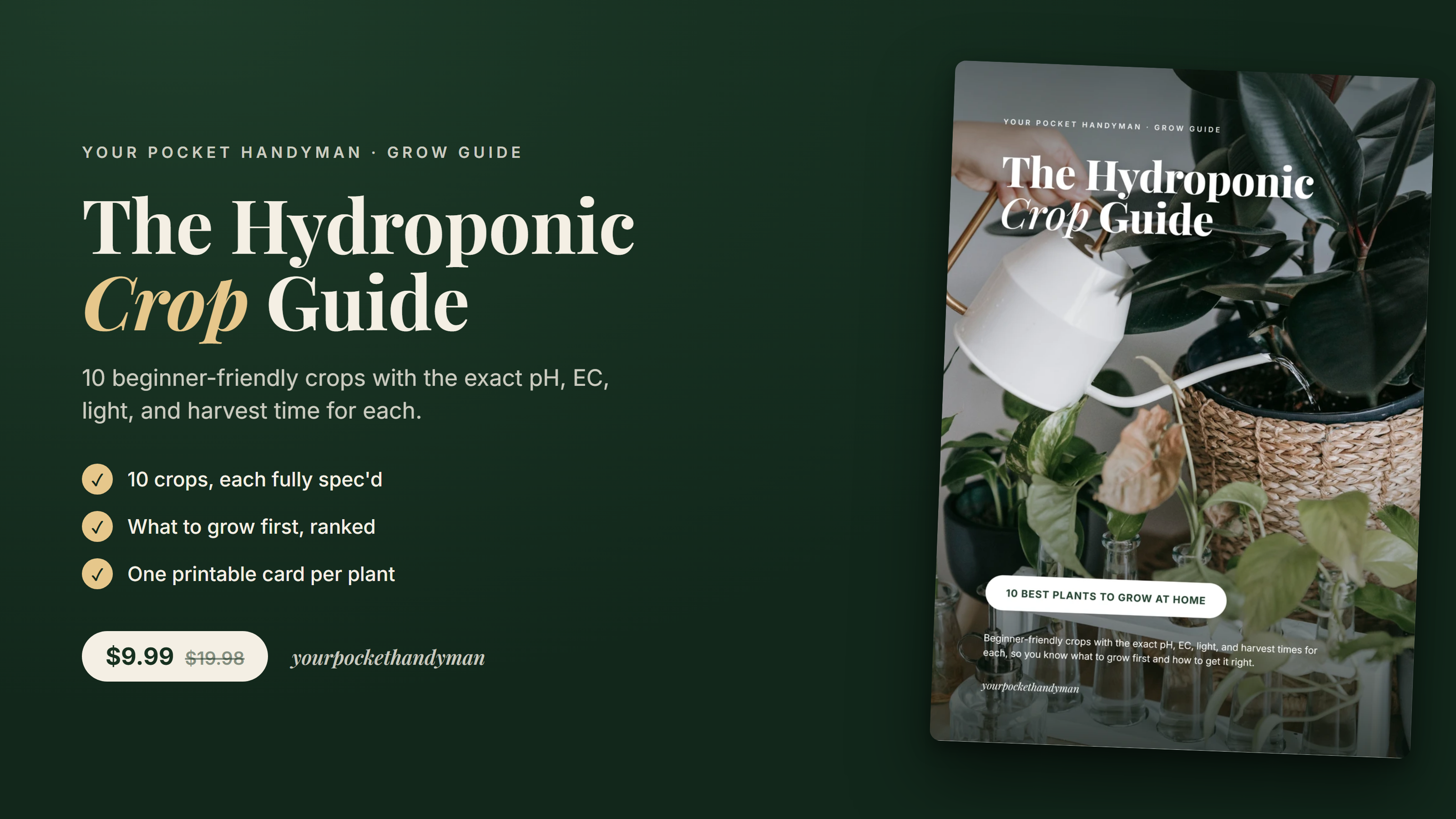 The Hydroponic Crop Guide
