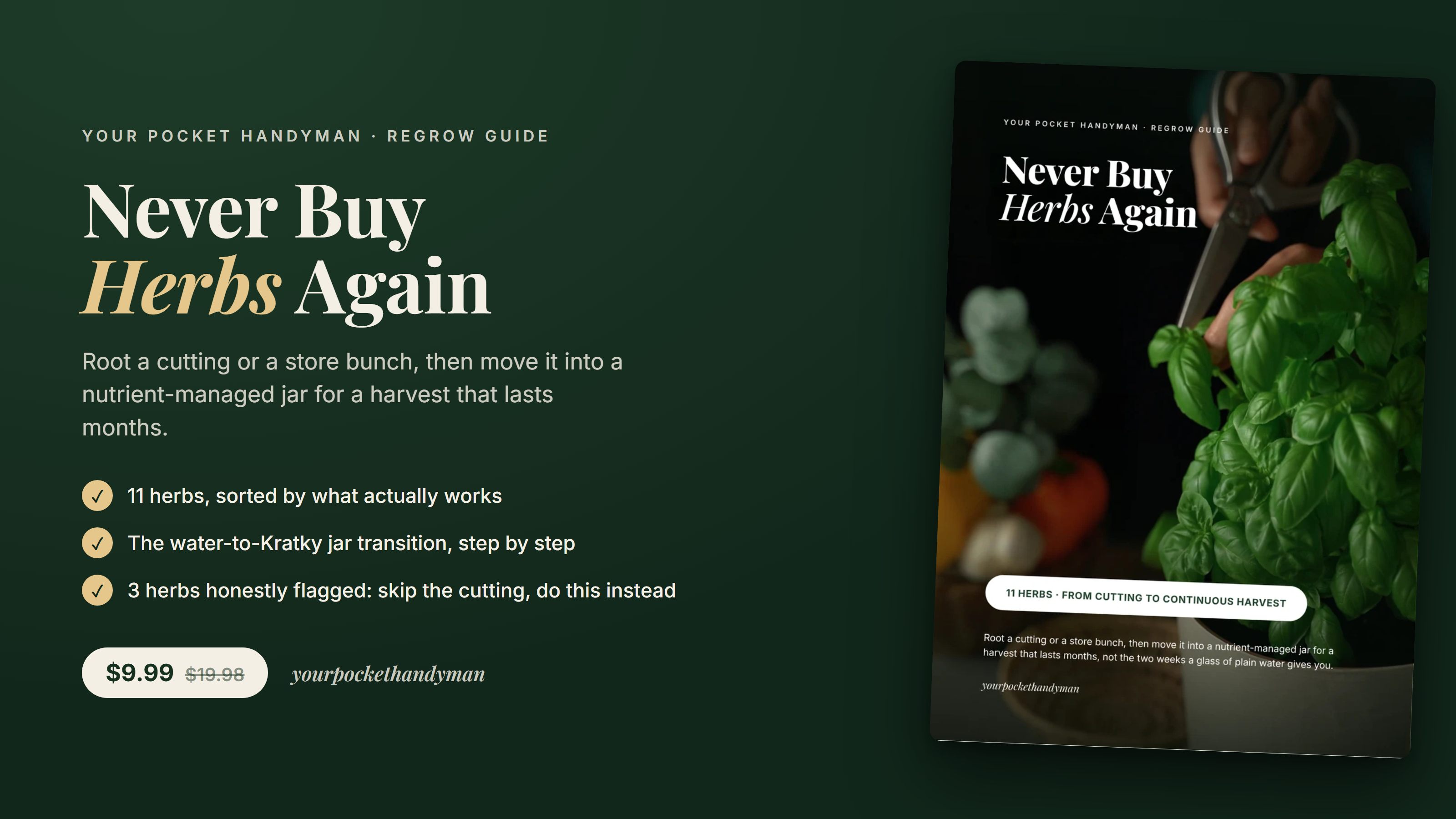 Never Buy Herbs Again