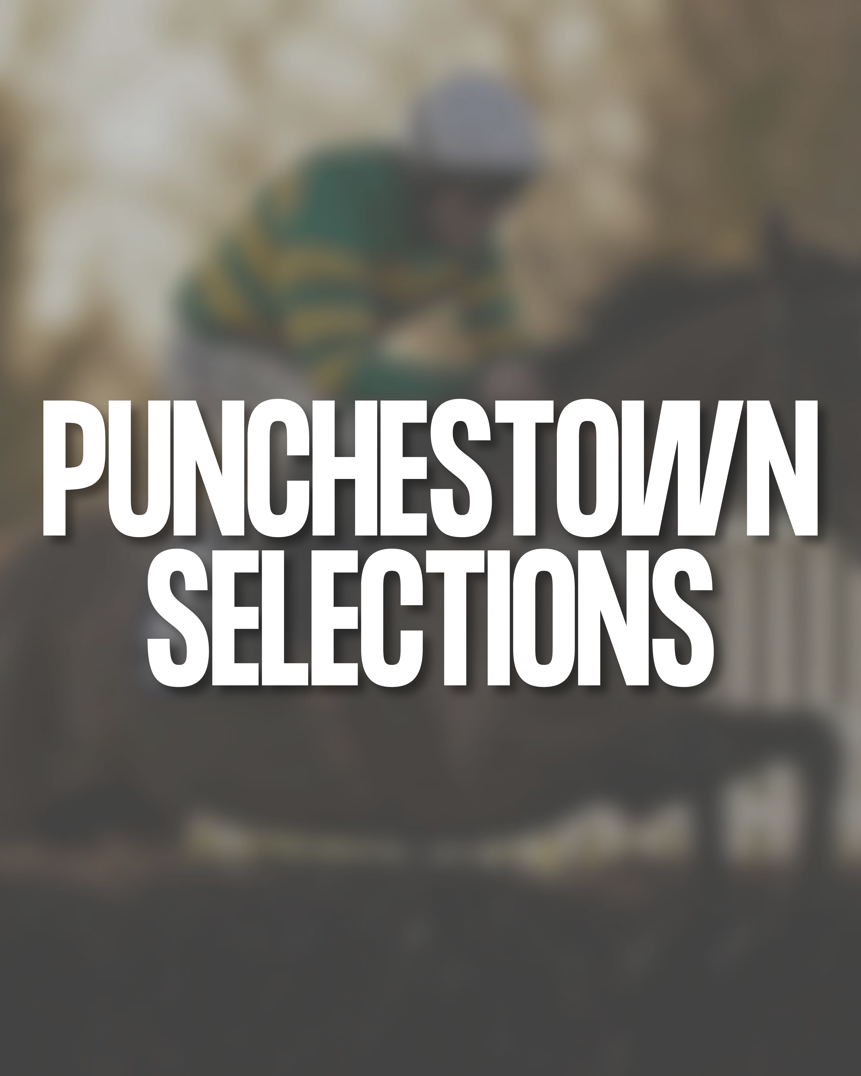 Punchestown Selections