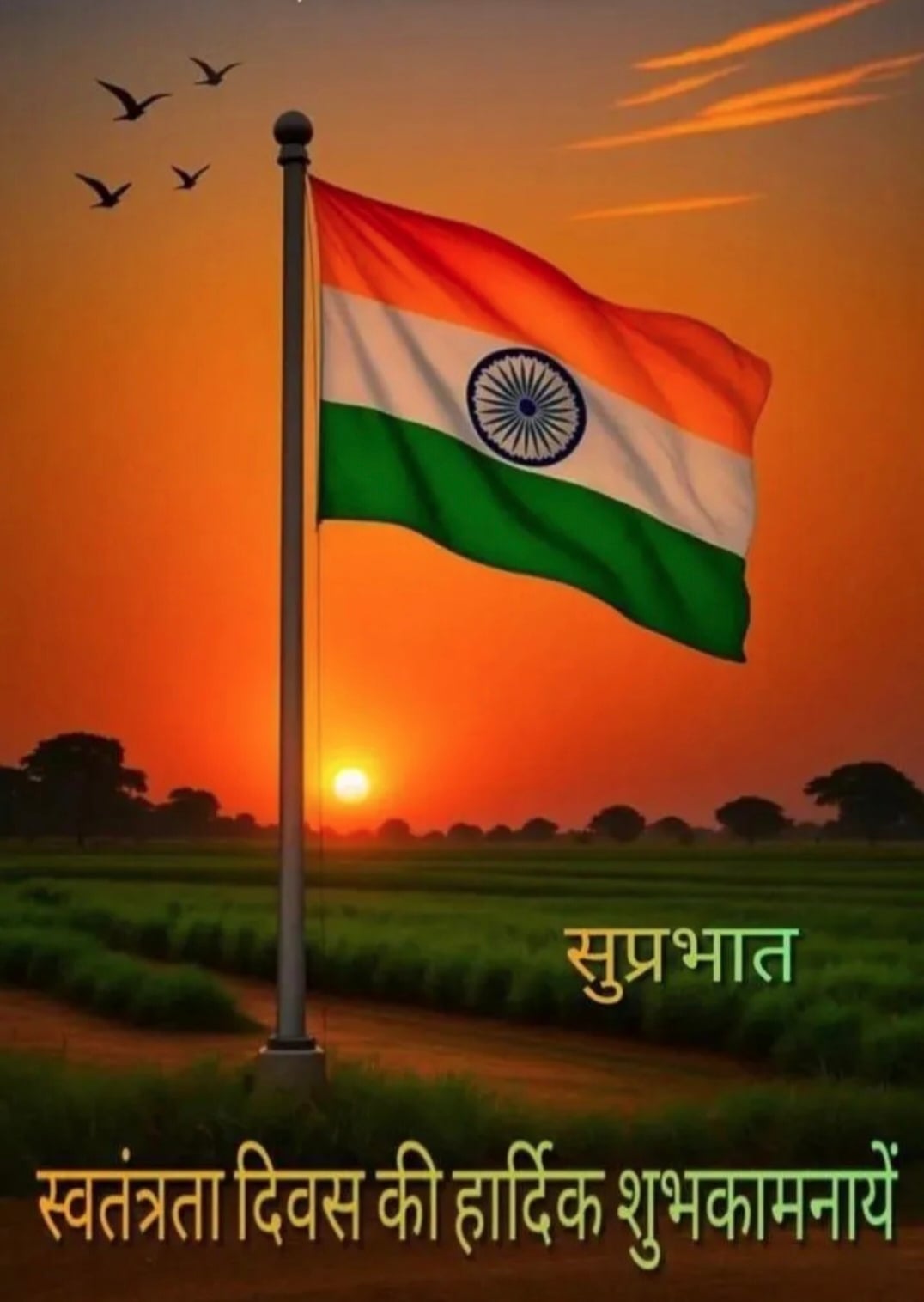 zenz ayush