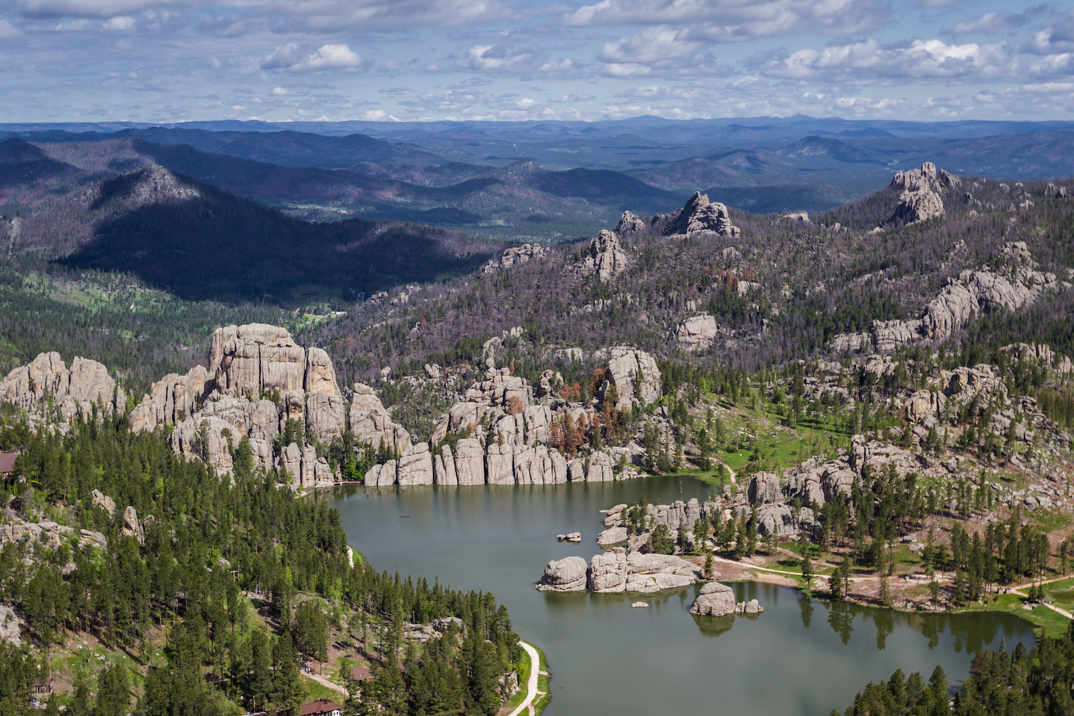 The Black Hills 2026