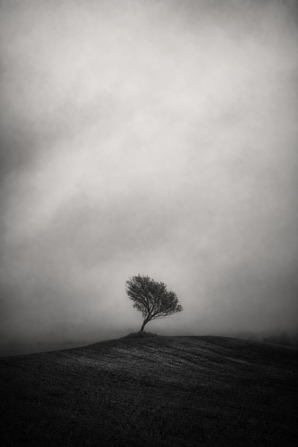 ROOMFIELD: The Veil Collection
