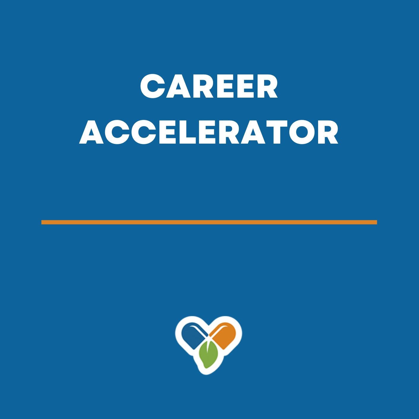 Career Accelerator Program