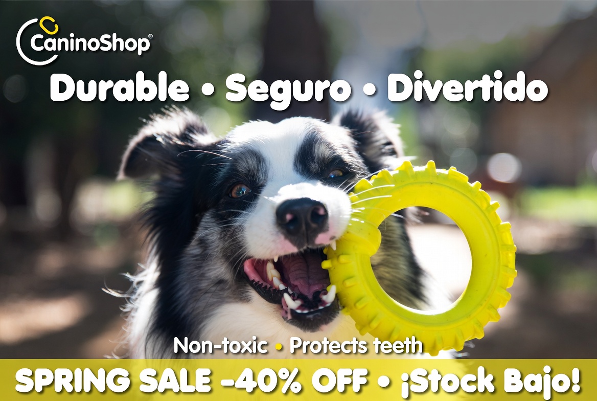 Dog Training Durable Toy Set