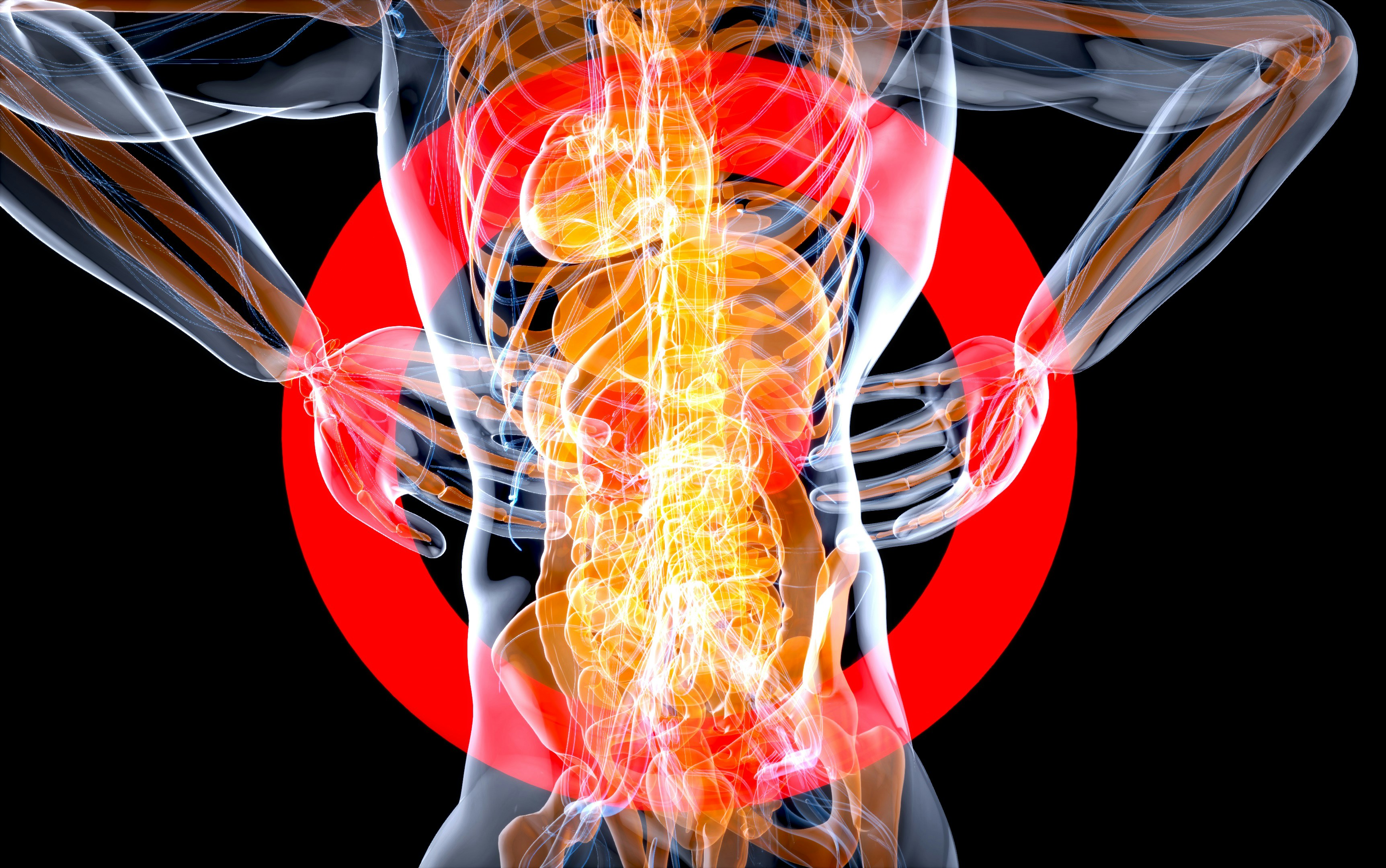 Back Pain Reset Program