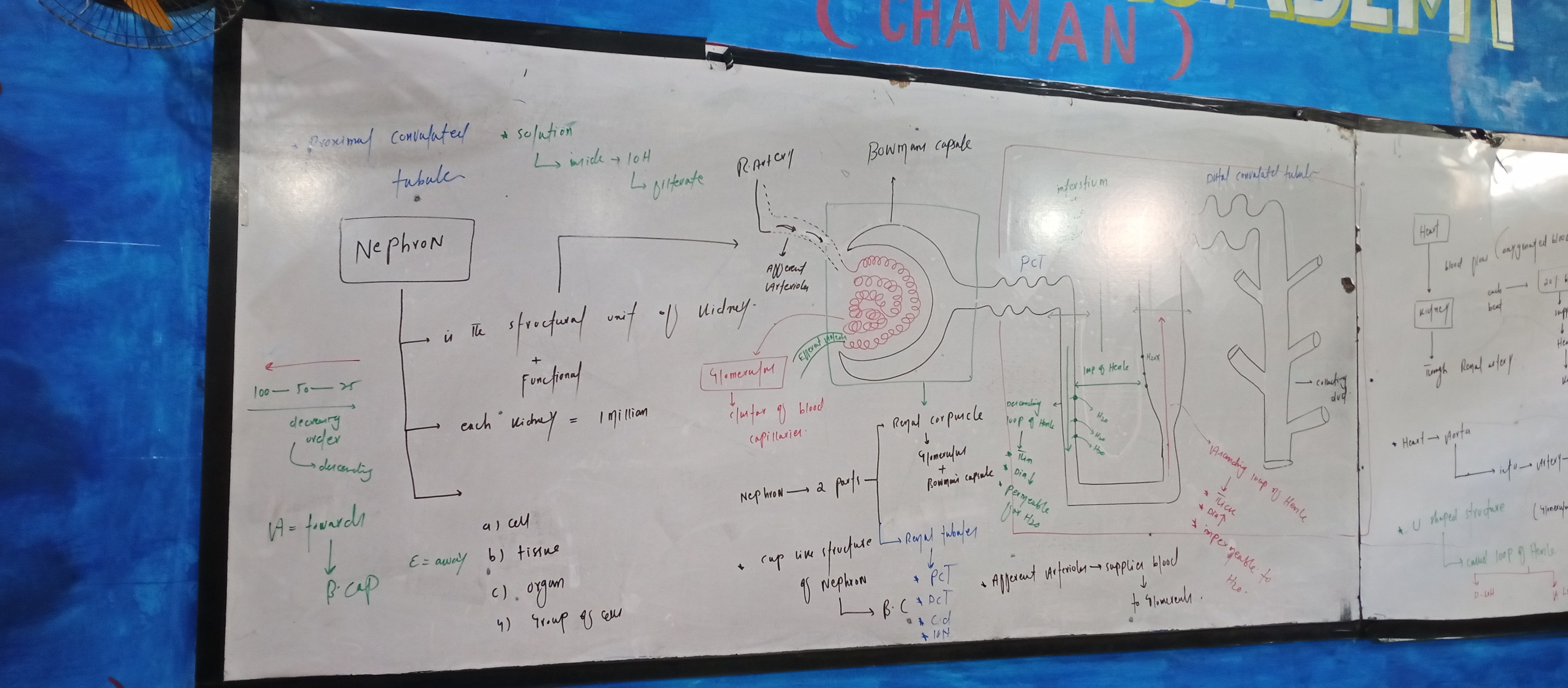 Shaheen Study Guide
