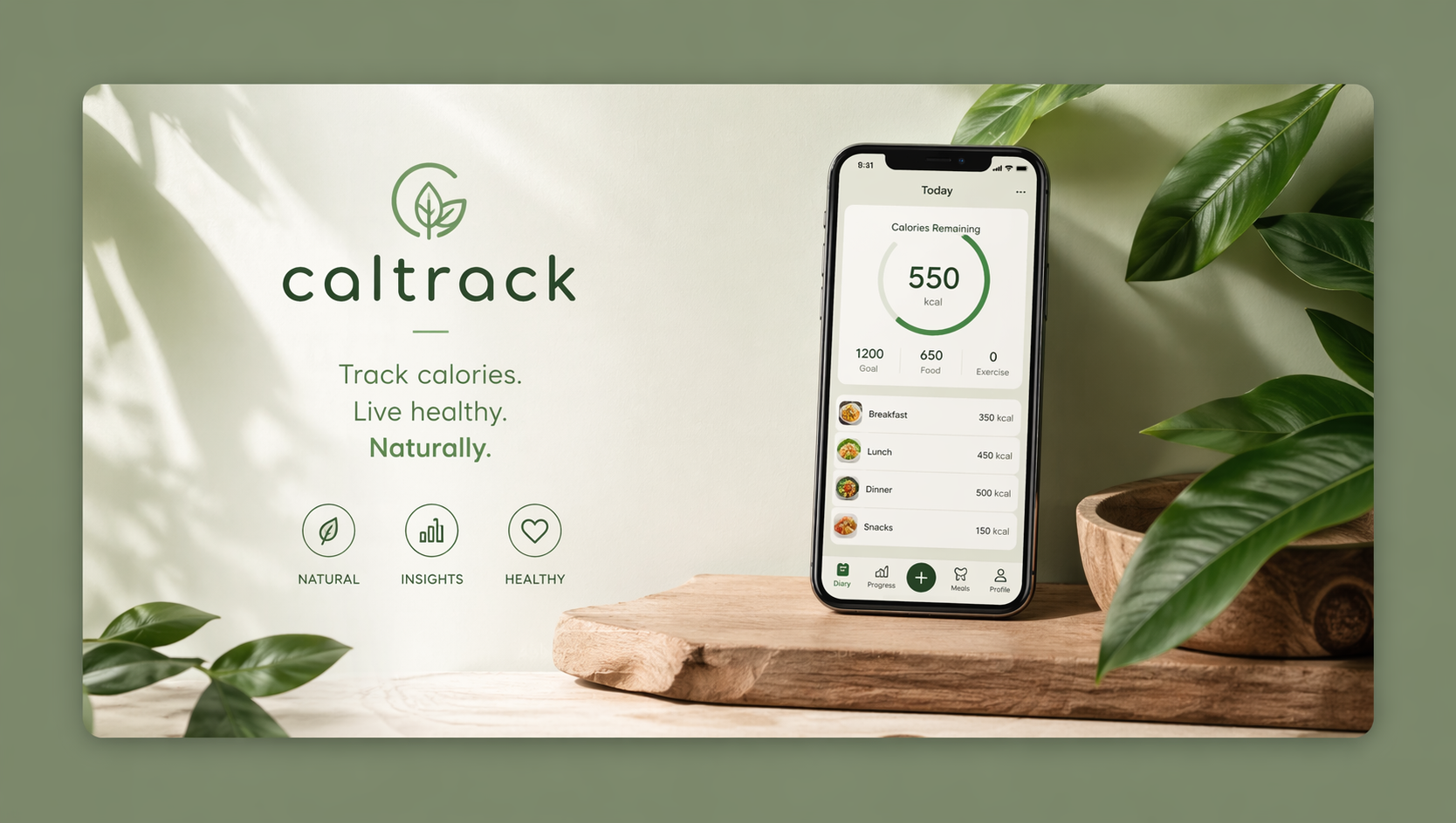 CalTrack - Parameter Tracker